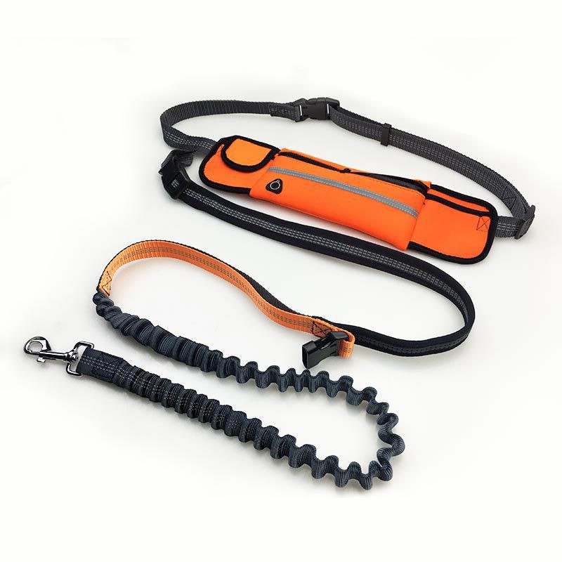 Hands-Free Dog Running Leash with Waist Pocket Adjustable Belt Shock Absorbing Bungee