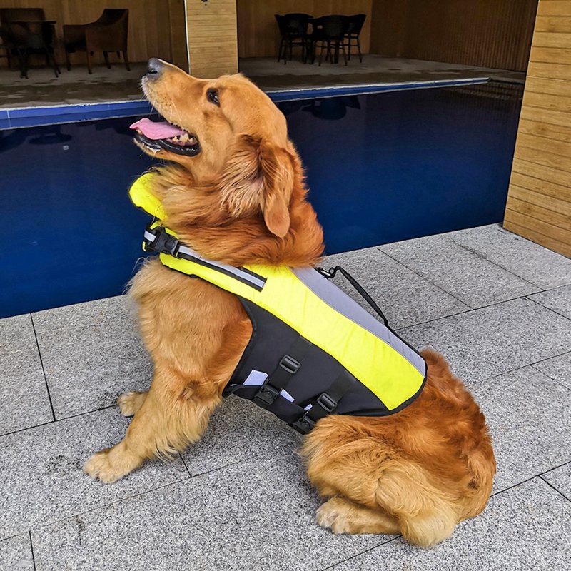 summer-dog-cooling-vest