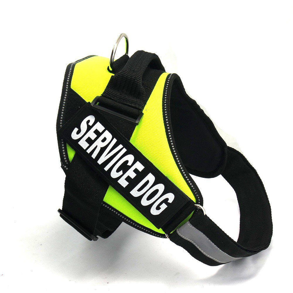 dog-chest-strap